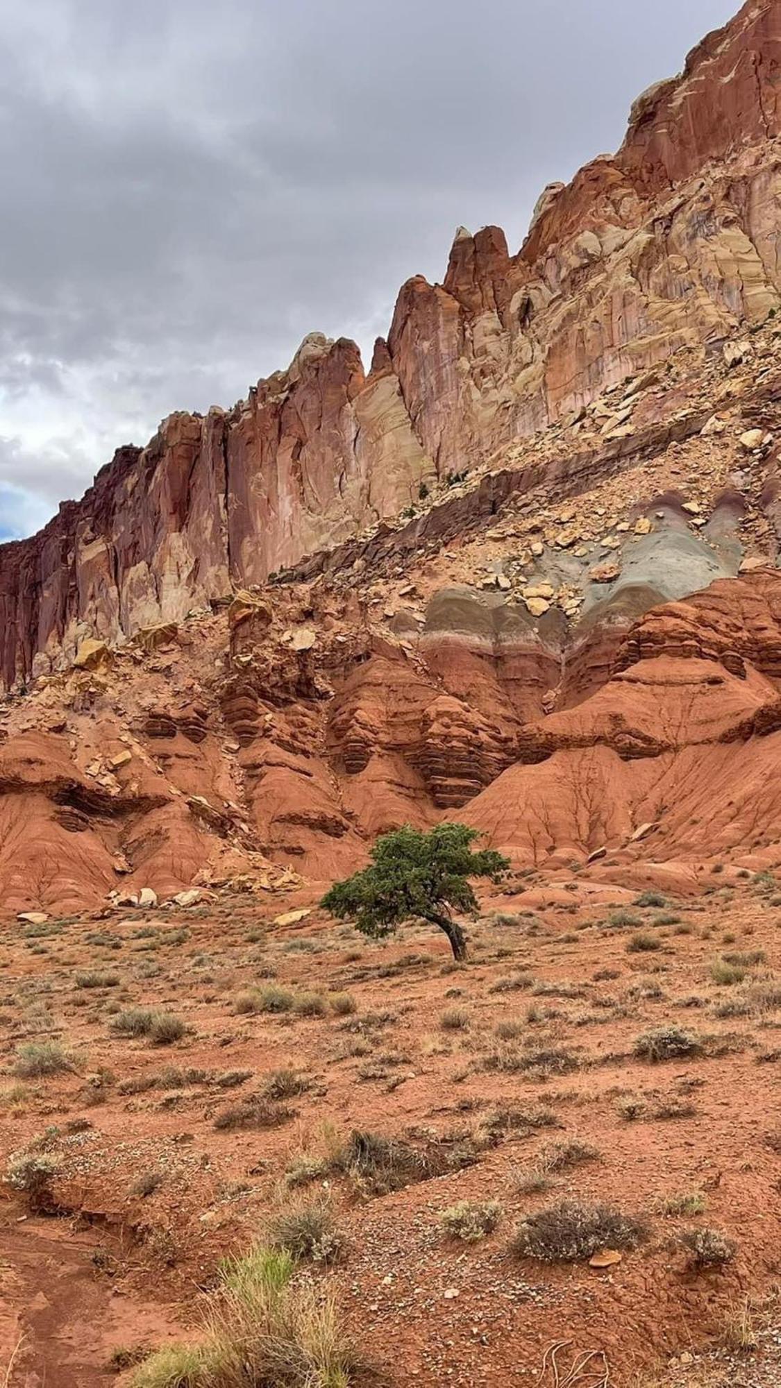 Bryce'S Zion House By Bryce Canyon National Park! 판귀치 외부 사진